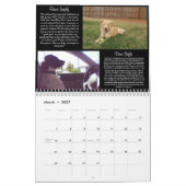 Kalender Pawfect Match-2013 (Mär 2027)