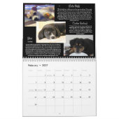 Kalender Pawfect Match-2013 (Feb 2027)