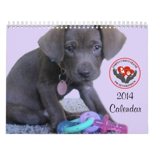Kalender Pawfect Match-2014 (Titelbild)