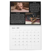 Kalender Pawfect Match-2014 (Mär 2027)