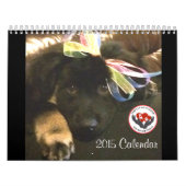 Kalender Pawfect Match-2015 (Titelbild)