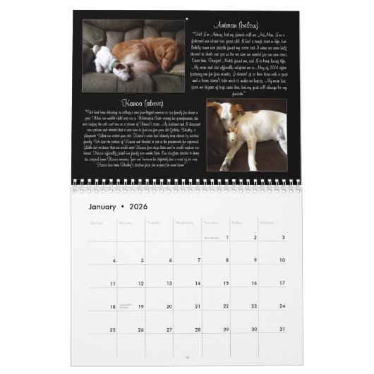 Kalender Pawfect Match-2015 (Jan 2026)