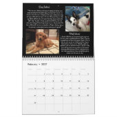 Kalender Pawfect Match-2015 (Feb 2027)