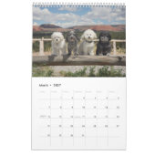 Kalender PBJ Satz-2017 (Mär 2027)