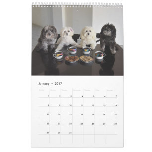 Kalender PBJ Satz-2017