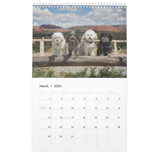 Kalender PBJ Satz-2017 (Mär 2026)