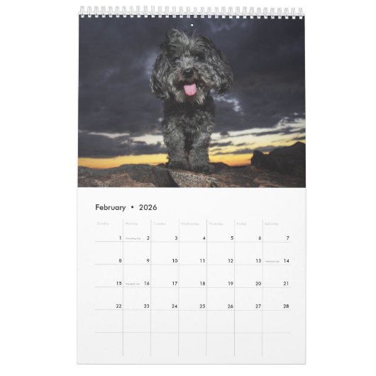 Kalender PBJ Satz-2017 (Feb 2026)