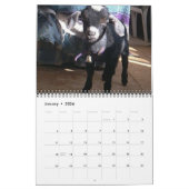 Kalender Pedros 2009 (Jan 2026)