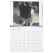 Kalender Pedros 2009 (Mär 2026)