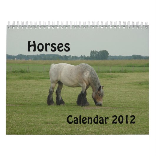 Kalender - Pferde (Titelbild)