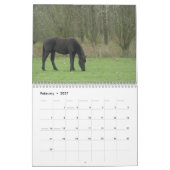 Kalender - Pferde (Feb 2027)