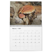 Kalender-Pilze Kalender (Feb 2027)