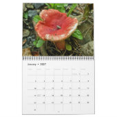 Kalender-Pilze Kalender (Jan 2027)