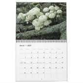 Kalender-Pilze Kalender (Mär 2027)