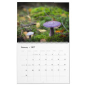 Kalender: Pilze, Pilze, Pilze, Pilze Kalender (Feb 2027)