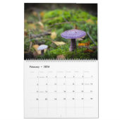 Kalender: Pilze, Pilze, Pilze, Pilze Kalender (Feb 2026)