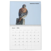 Kalender - Raptoren (Greifvögel) von Nordamerika (Mär 2026)