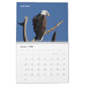 Kalender - Raptoren (Greifvögel) von Nordamerika (Jan 2027)