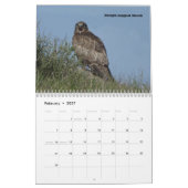 Kalender - Raptoren (Greifvögel) von Nordamerika (Feb 2027)