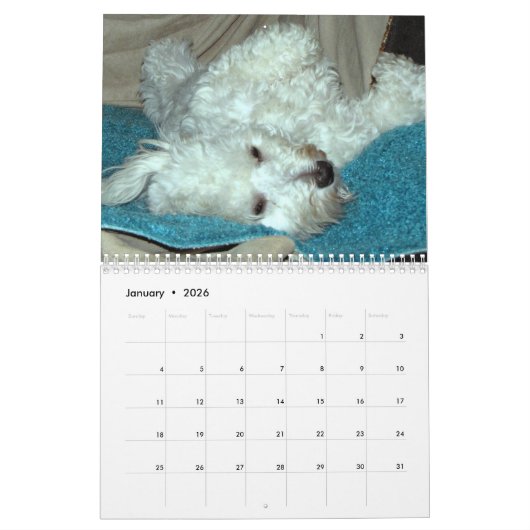Kalender Rettung Havanese Welpen-2014 (Jan 2026)