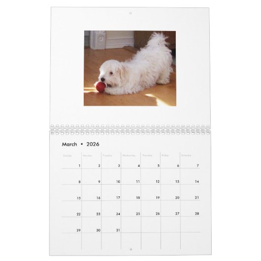 Kalender Rettung Havanese Welpen-2014 (Mär 2026)