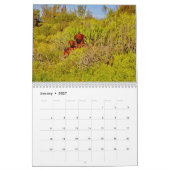 Kalender Rhodesian Ridgeback - Liondog - 15 Monate (Jan 2027)
