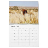 Kalender Rhodesian Ridgeback - Liondog - 15 Monate (Feb 2027)