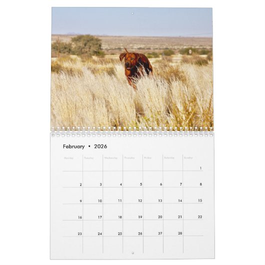 Kalender Rhodesian Ridgeback - Liondog - 15 Monate (Feb 2026)