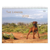 Kalender Rhodesian Ridgeback - Liondog - 15 Monate (Titelbild)
