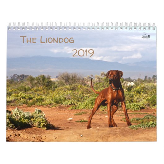 Kalender Rhodesian Ridgeback - Liondog - 15 Monate (Titelbild)
