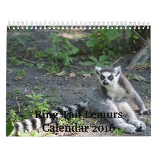 Kalender Ring-Schwanzlemurs-2016