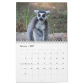 Kalender Ring-Schwanzlemurs-2016 (Feb 2027)