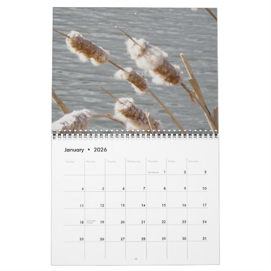 Kalender - Rund um den Teich (Jan 2026)