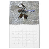 Kalender - Rund um den Teich (Mär 2026)