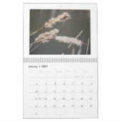 Kalender - Saatgut und Beeren (Jan 2027)