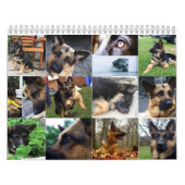 Kalender - Schäferhund (Titelbild)
