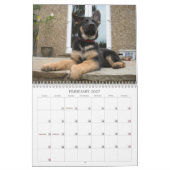 Kalender - Schäferhund (Feb 2027)