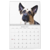 Kalender - Schäferhund (Mär 2027)