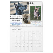 Kalender Schäferhund-Rettungs-zentraler Texas 2017 (Jan 2027)