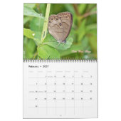 Kalender - Schmetterlinge und Mäuse (Feb 2027)