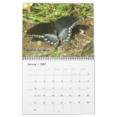 Kalender - Schmetterlinge und Mäuse (Jan 2027)