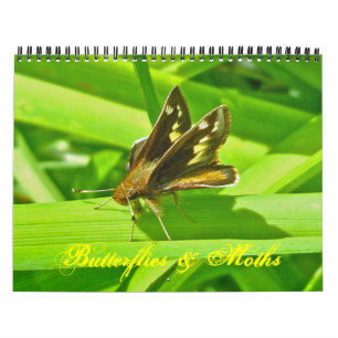 Kalender - Schmetterlinge und Mäuse