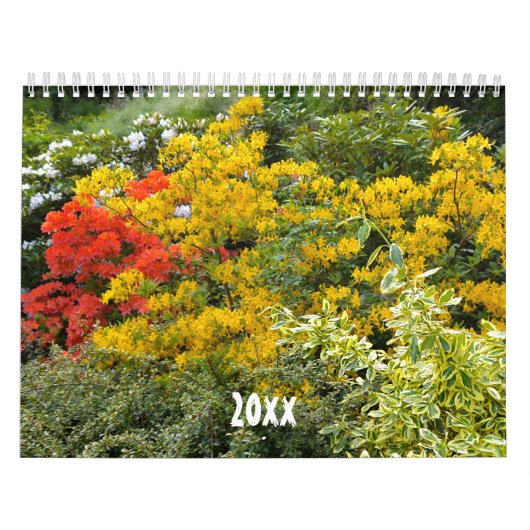 Kalender - Schöne Blumen -  (Titelbild)