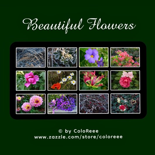 Kalender - Schöne Blumen - 