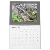 Kalender - Schöne Fehler (Feb 2027)