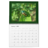 Kalender - Schöne Fehler (Jan 2027)