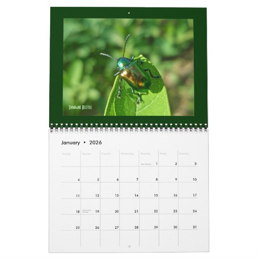 Kalender - Schöne Fehler (Jan 2026)