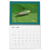 Kalender - Schöne Fehler (Mär 2026)