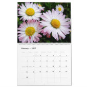 Kalender Schöne Natur (Feb 2027)