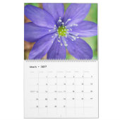 Kalender Schöne Natur (Mär 2027)